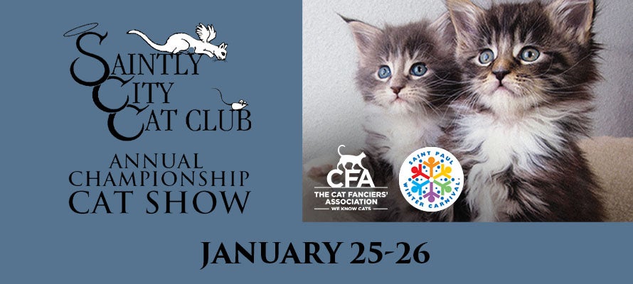 Saintly City Cat Club Annual Championship Cat Show